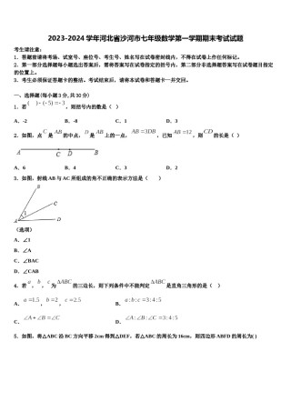 2023-2024学年河北省沙河市七年级数学第一学期期末考试试题含解析.doc