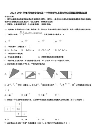 2023-2024学年河南省安阳市正一中学数学七上期末学业质量监测模拟试题含解析.doc