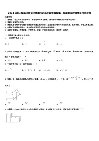 2023-2024学年河南省平顶山市叶县七年级数学第一学期期末教学质量检测试题含解析.doc