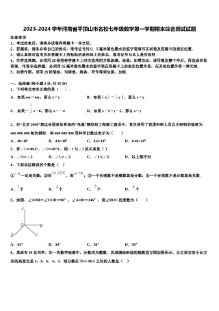 2023-2024学年河南省平顶山市名校七年级数学第一学期期末综合测试试题含解析.doc