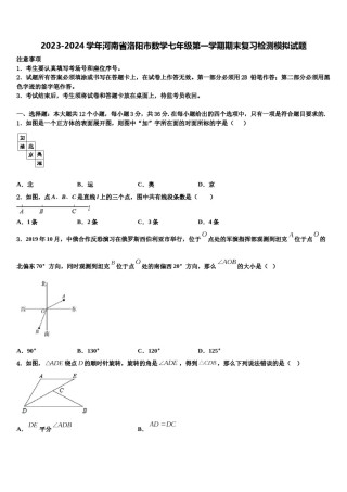 2023-2024学年河南省洛阳市数学七年级第一学期期末复习检测模拟试题含解析.doc