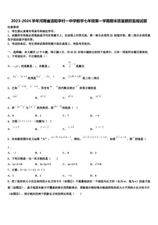 2023-2024学年河南省洛阳李村一中学数学七年级第一学期期末质量跟踪监视试题含解析.doc