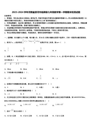 2023-2024学年河南省漯河市临颍县七年级数学第一学期期末检测试题含解析.doc