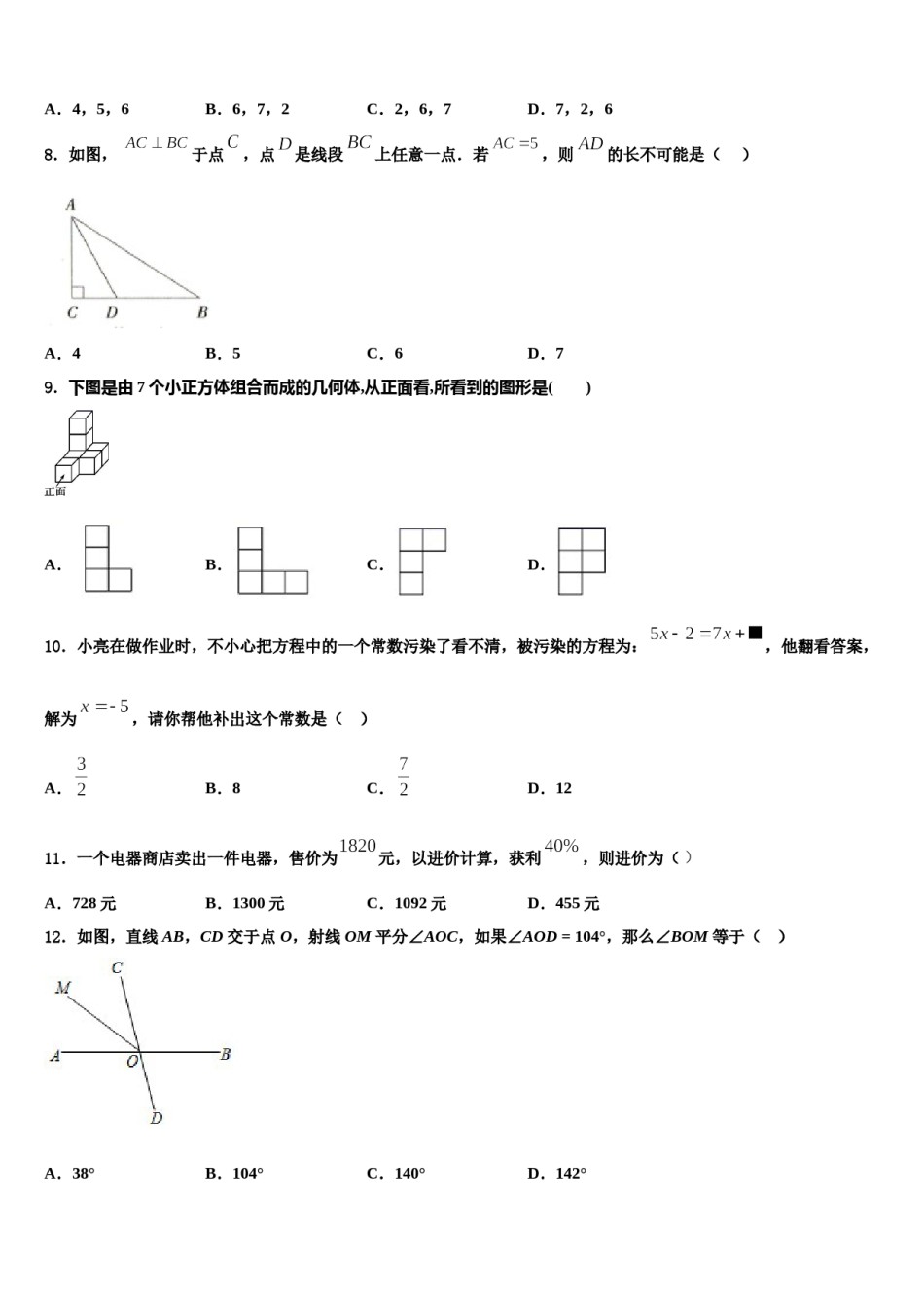 2023-2024学年河南省濮阳市台前县数学七上期末检测试题含解析.doc_第2页