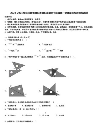 2023-2024学年河南省濮阳市濮阳县数学七年级第一学期期末检测模拟试题含解析.doc