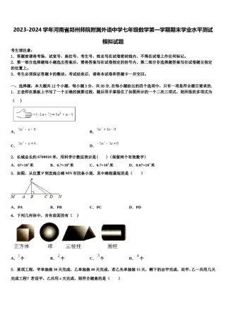 2023-2024学年河南省郑州师院附属外语中学七年级数学第一学期期末学业水平测试模拟试题含解析.doc