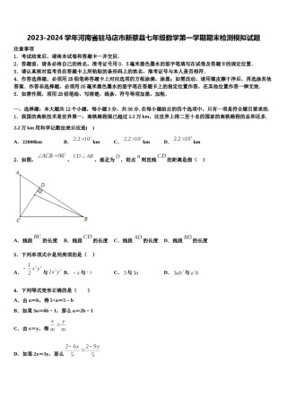 2023-2024学年河南省驻马店市新蔡县七年级数学第一学期期末检测模拟试题含解析.doc