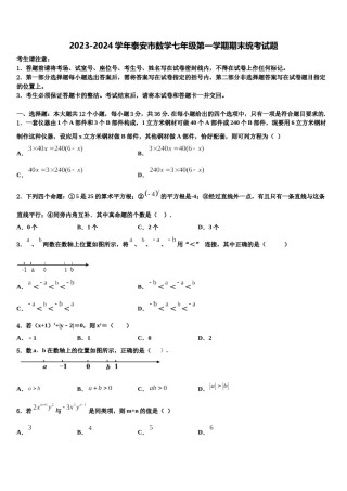 2023-2024学年泰安市数学七年级第一学期期末统考试题含解析.doc