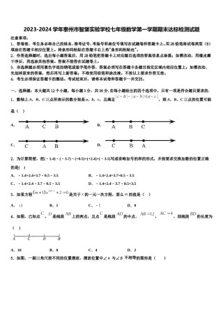 2023-2024学年泰州市智堡实验学校七年级数学第一学期期末达标检测试题含解析.doc
