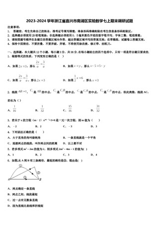 2023-2024学年浙江省嘉兴市南湖区实验数学七上期末调研试题含解析.doc