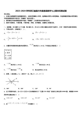 2023-2024学年浙江省嘉兴市嘉善县数学七上期末经典试题含解析.doc