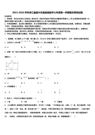 2023-2024学年浙江省嘉兴市嘉善县数学七年级第一学期期末预测试题含解析.doc
