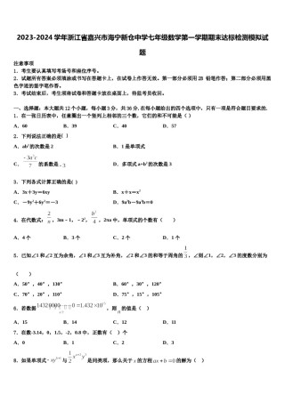 2023-2024学年浙江省嘉兴市海宁新仓中学七年级数学第一学期期末达标检测模拟试题含解析.doc