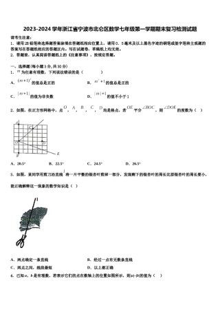 2023-2024学年浙江省宁波市北仑区数学七年级第一学期期末复习检测试题含解析.doc