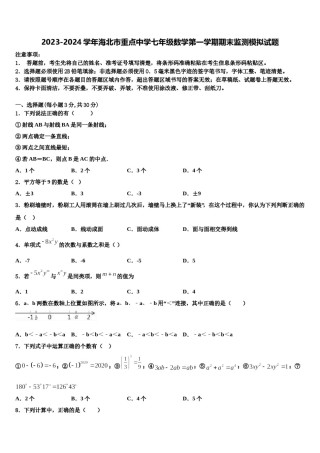 2023-2024学年海北市重点中学七年级数学第一学期期末监测模拟试题含解析.doc