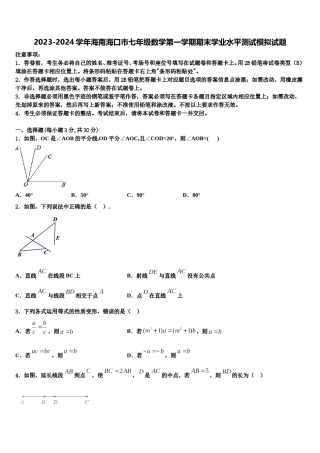 2023-2024学年海南海口市七年级数学第一学期期末学业水平测试模拟试题含解析.doc