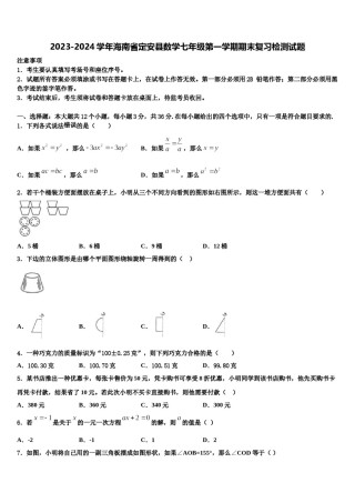 2023-2024学年海南省定安县数学七年级第一学期期末复习检测试题含解析.doc