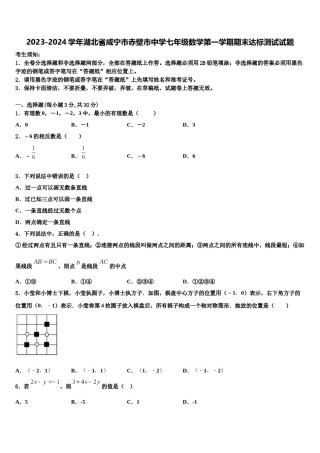 2023-2024学年湖北省咸宁市赤壁市中学七年级数学第一学期期末达标测试试题含解析.doc