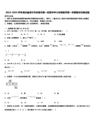 2023-2024学年湖北省咸宁市赤壁市第一初级中学七年级数学第一学期期末经典试题含解析.doc