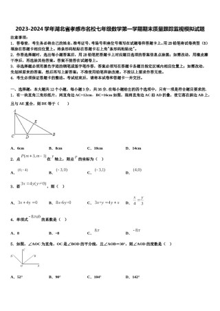 2023-2024学年湖北省孝感市名校七年级数学第一学期期末质量跟踪监视模拟试题含解析.doc