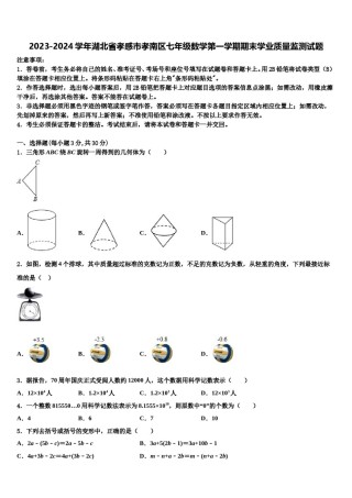 2023-2024学年湖北省孝感市孝南区七年级数学第一学期期末学业质量监测试题含解析.doc