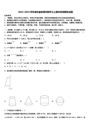 2023-2024学年湖北省孝感市数学七上期末检测模拟试题含解析.doc