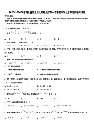 2023-2024学年湖北省宣恩县七年级数学第一学期期末学业水平测试模拟试题含解析.doc