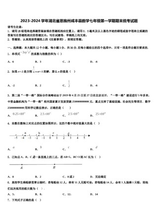 2023-2024学年湖北省恩施州咸丰县数学七年级第一学期期末统考试题含解析.doc