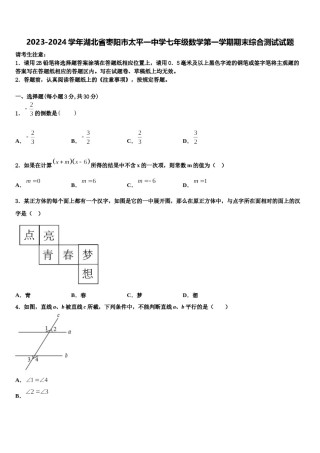 2023-2024学年湖北省枣阳市太平一中学七年级数学第一学期期末综合测试试题含解析.doc
