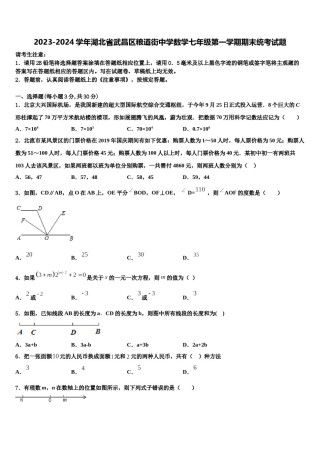 2023-2024学年湖北省武昌区粮道街中学数学七年级第一学期期末统考试题含解析.doc