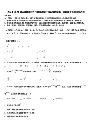 2023-2024学年湖北省武汉市外国语学校七年级数学第一学期期末监测模拟试题含解析.doc