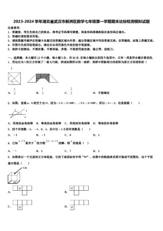 2023-2024学年湖北省武汉市新洲区数学七年级第一学期期末达标检测模拟试题含解析.doc