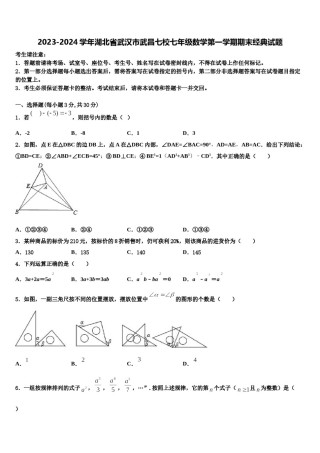 2023-2024学年湖北省武汉市武昌七校七年级数学第一学期期末经典试题含解析.doc