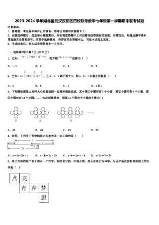 2023-2024学年湖北省武汉汉阳区四校联考数学七年级第一学期期末联考试题含解析.doc