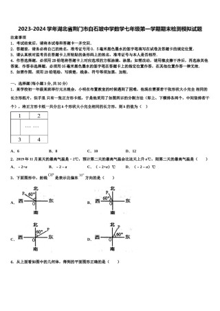 2023-2024学年湖北省荆门市白石坡中学数学七年级第一学期期末检测模拟试题含解析.doc