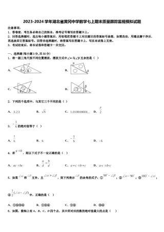 2023-2024学年湖北省黄冈中学数学七上期末质量跟踪监视模拟试题含解析.doc