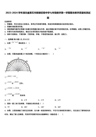 2023-2024学年湖北省黄石市新建初级中学七年级数学第一学期期末教学质量检测试题含解析.doc