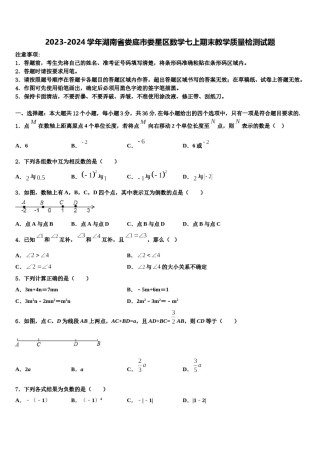 2023-2024学年湖南省娄底市娄星区数学七上期末教学质量检测试题含解析.doc