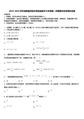 2023-2024学年湖南省岳阳市岳阳县数学七年级第一学期期末统考模拟试题含解析.doc