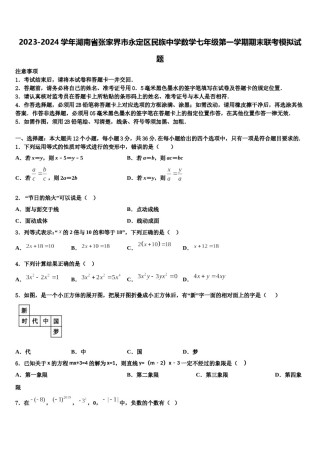 2023-2024学年湖南省张家界市永定区民族中学数学七年级第一学期期末联考模拟试题含解析.doc
