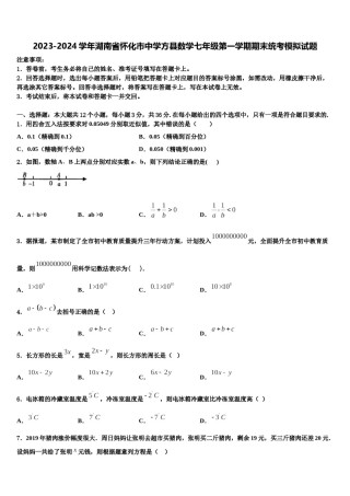 2023-2024学年湖南省怀化市中学方县数学七年级第一学期期末统考模拟试题含解析.doc