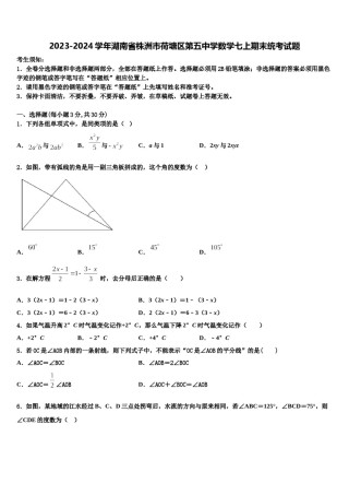 2023-2024学年湖南省株洲市荷塘区第五中学数学七上期末统考试题含解析.doc