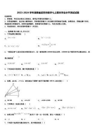 2023-2024学年湖南省武冈市数学七上期末学业水平测试试题含解析.doc