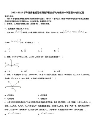 2023-2024学年湖南省武冈市洞庭学校数学七年级第一学期期末考试试题含解析.doc