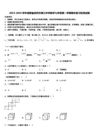 2023-2024学年湖南省武冈市第三中学数学七年级第一学期期末复习检测试题含解析.doc