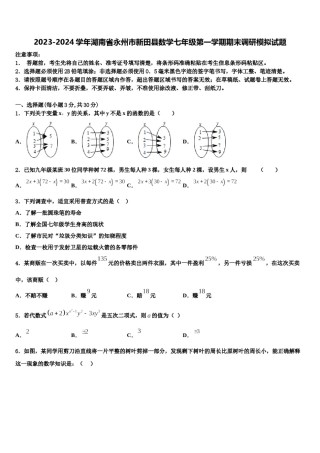 2023-2024学年湖南省永州市新田县数学七年级第一学期期末调研模拟试题含解析.doc
