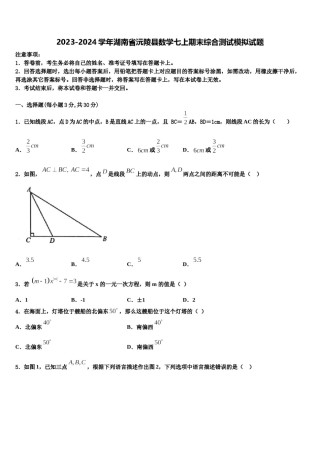 2023-2024学年湖南省沅陵县数学七上期末综合测试模拟试题含解析.doc