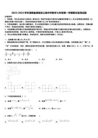 2023-2024学年湖南省澧县张公庙中学数学七年级第一学期期末监测试题含解析.doc