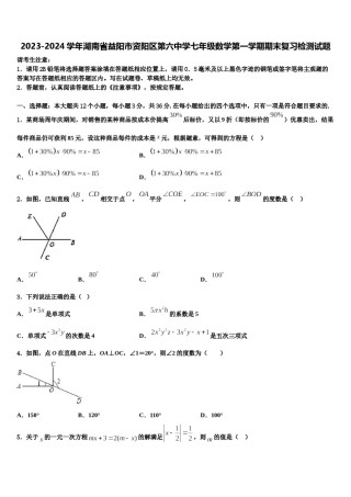 2023-2024学年湖南省益阳市资阳区第六中学七年级数学第一学期期末复习检测试题含解析.doc