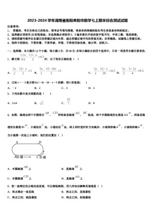 2023-2024学年湖南省衡阳耒阳市数学七上期末综合测试试题含解析.doc